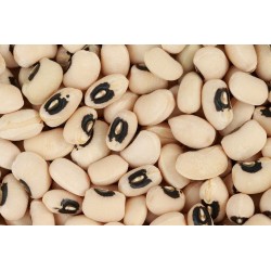 haricots oeil / cornille 1kg