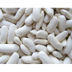 haricots blancs lingots 1kg