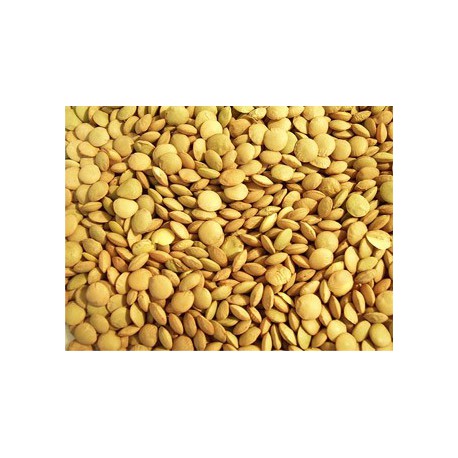 lentilles blondes 1 kg