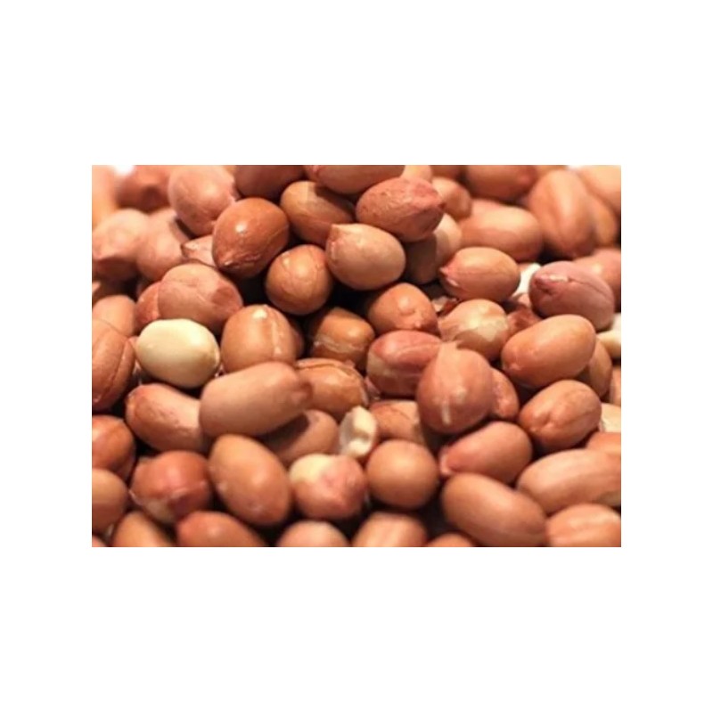 arachide crue 450 g